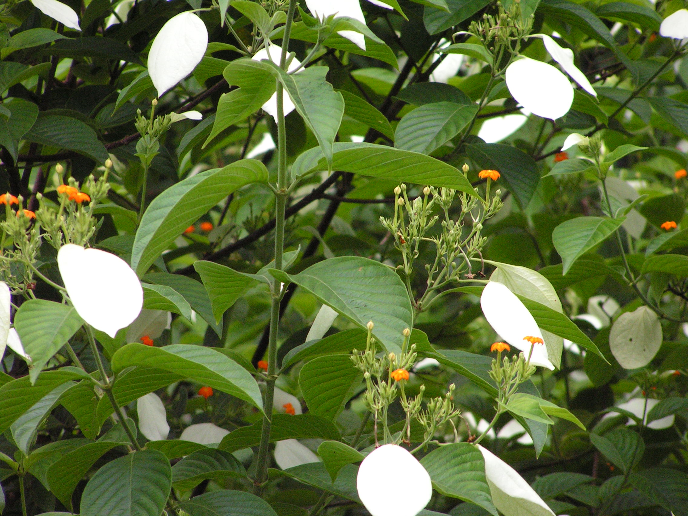 ./2005/Puerto Rico/Part 2/PICT0124.JPG